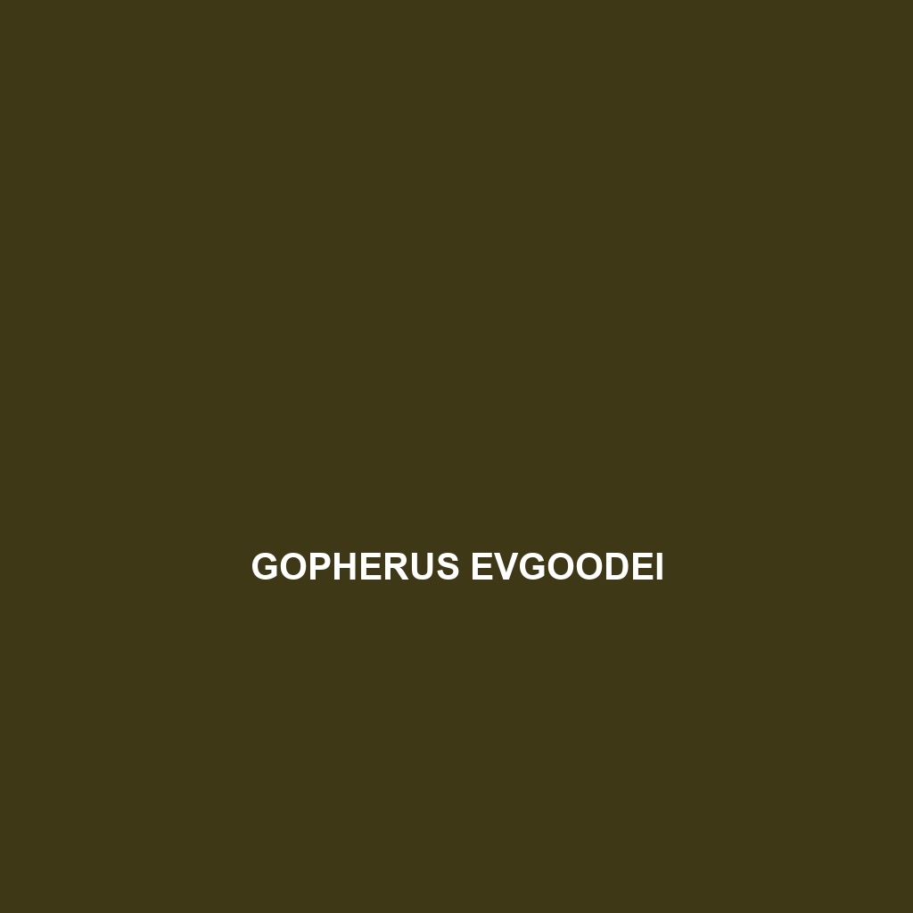 Gopherus evgoodei