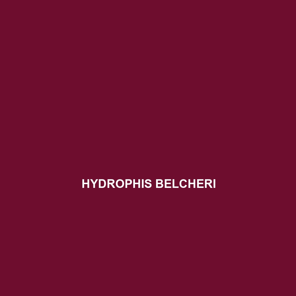 Hydrophis belcheri