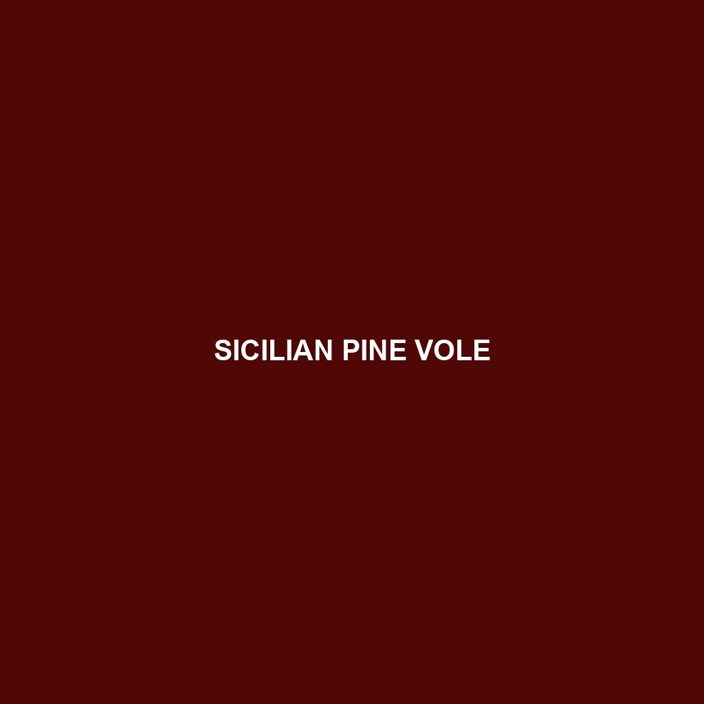 Sicilian Pine Vole