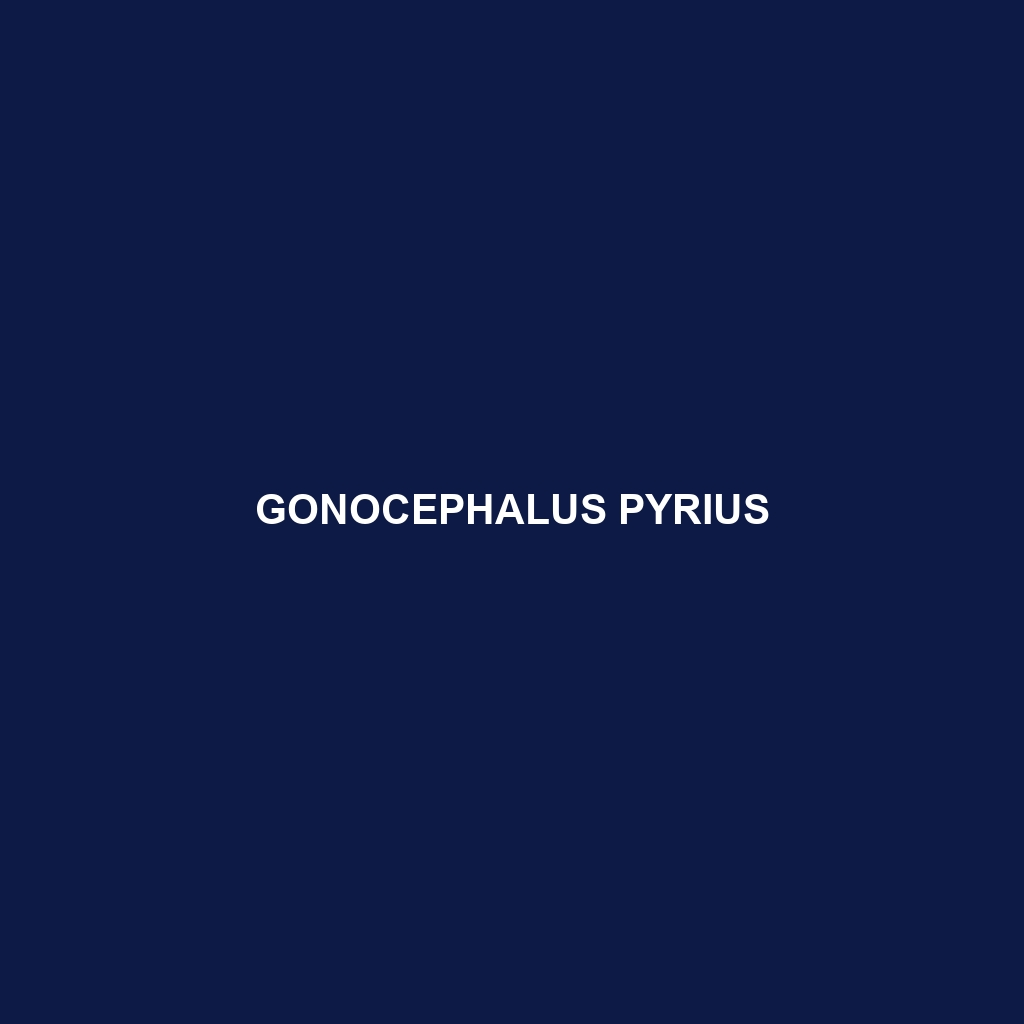 Gonocephalus pyrius