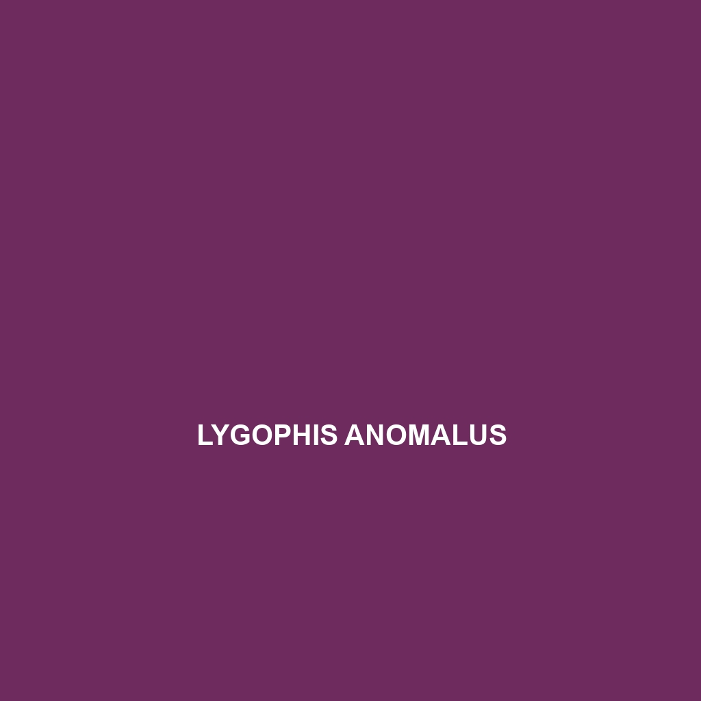 Lygophis anomalus