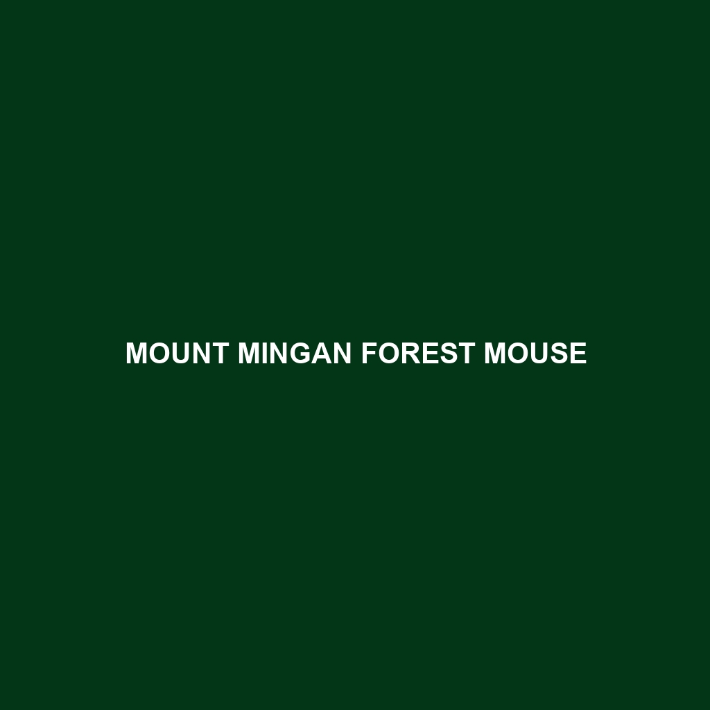 Mount Mingan Forest Mouse