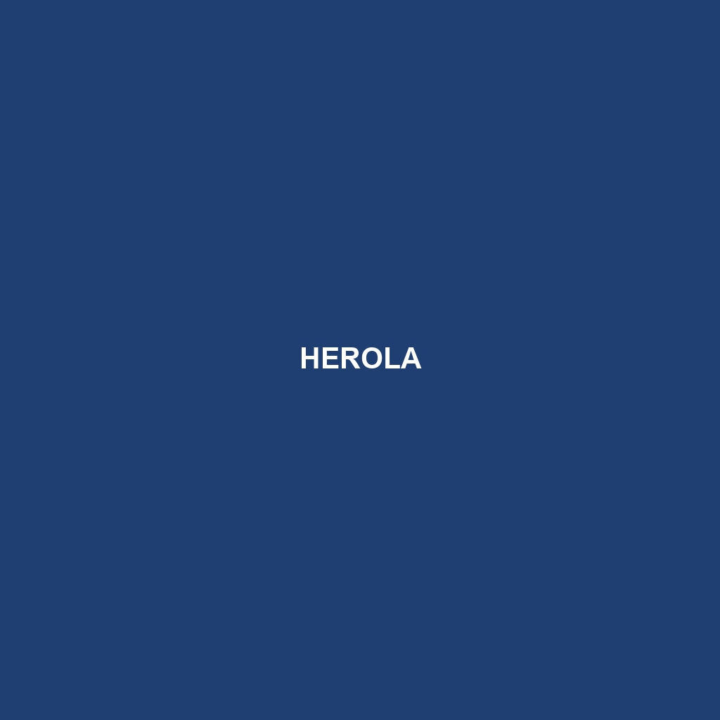 Herola