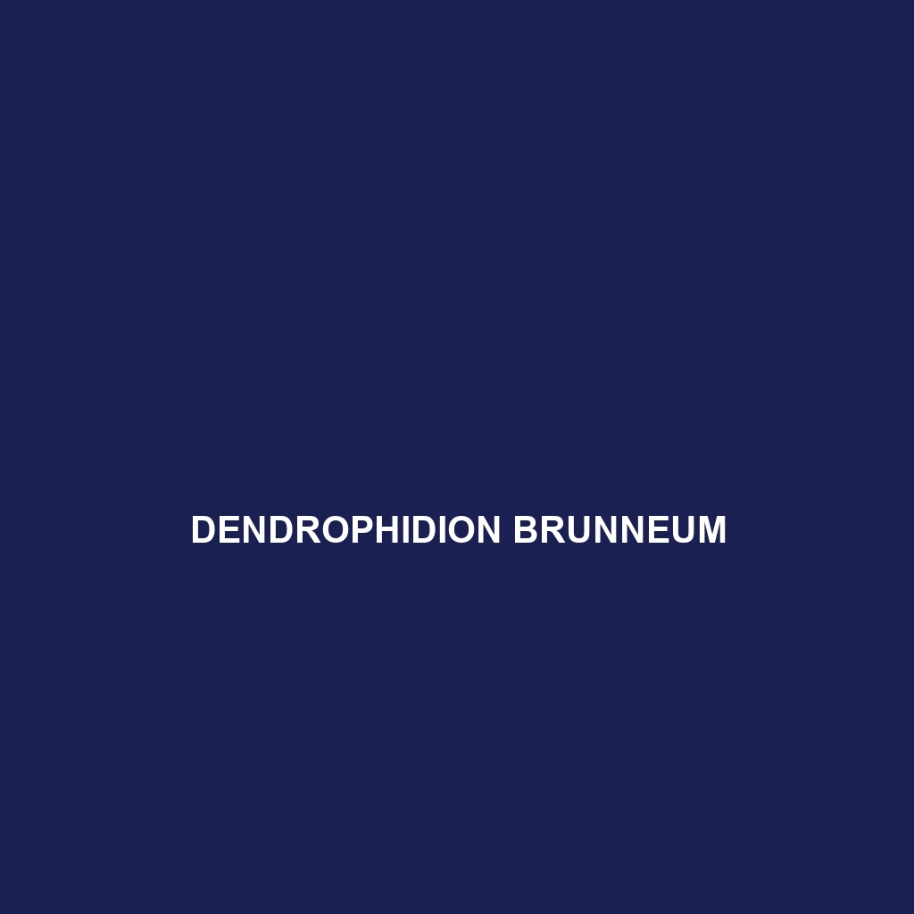 Dendrophidion brunneum