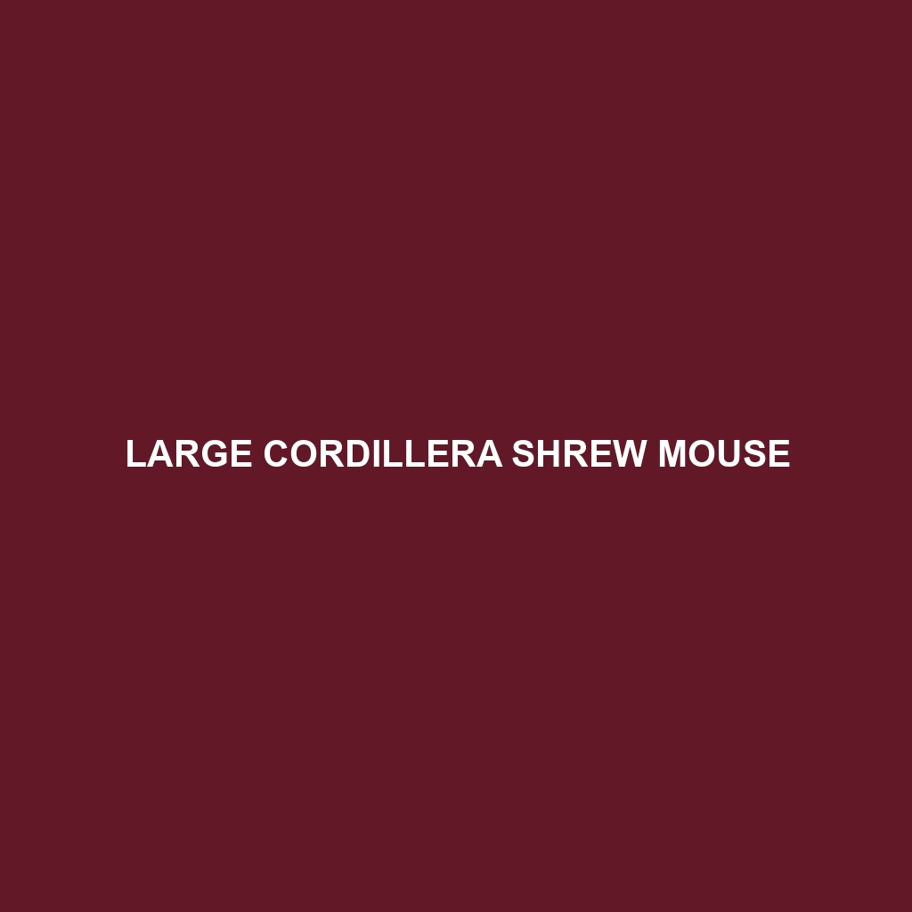 Large Cordillera Shrew Mouse