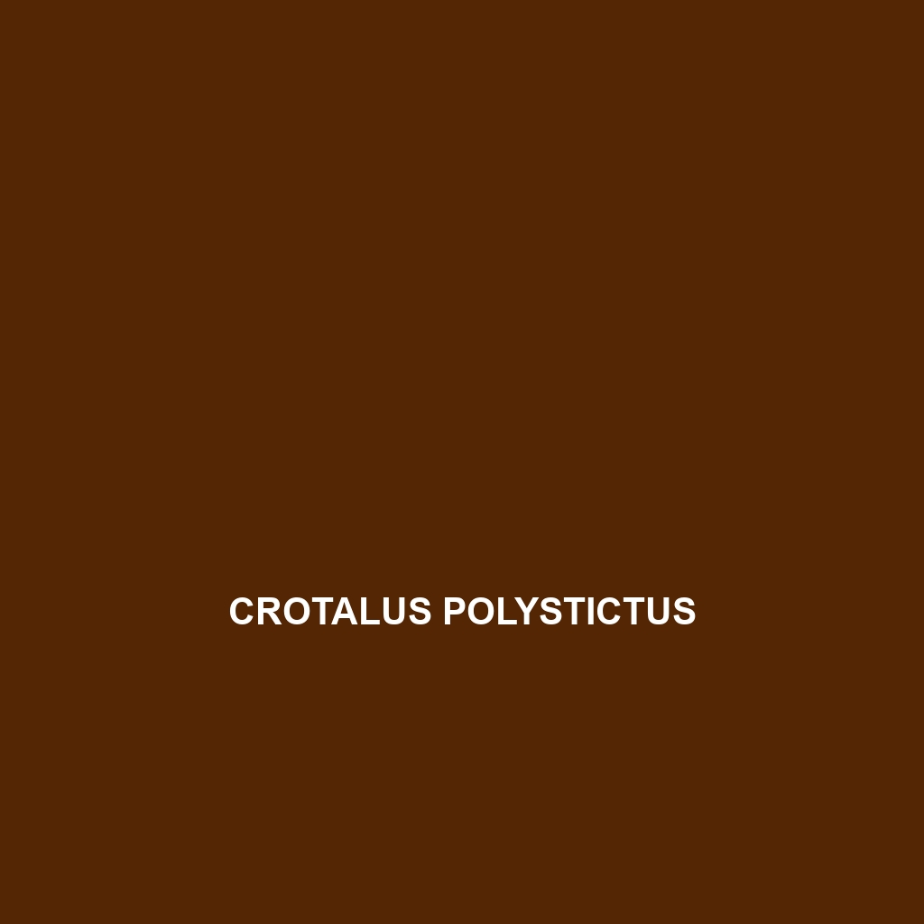 Crotalus polystictus