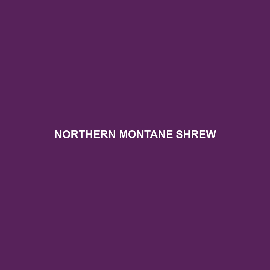 Northern Montane Shrew