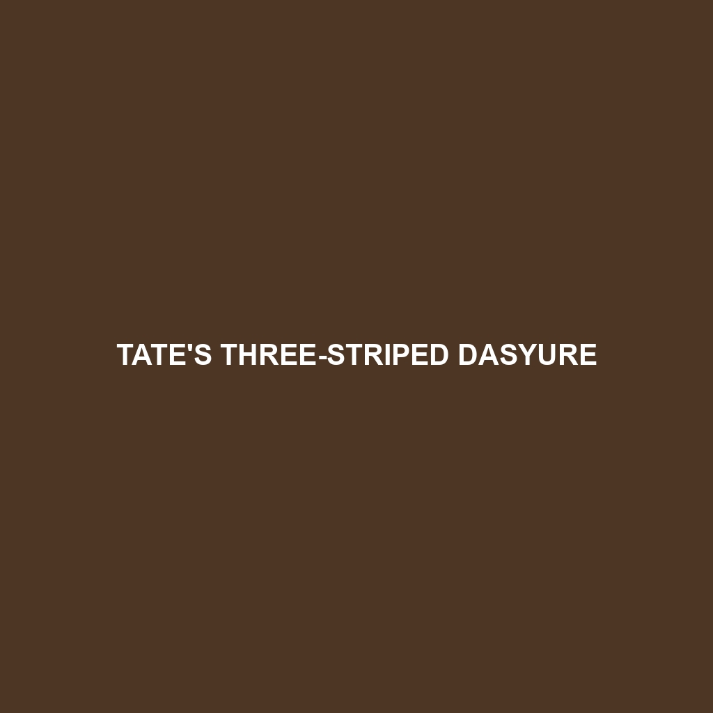 Tate's Three-striped Dasyure