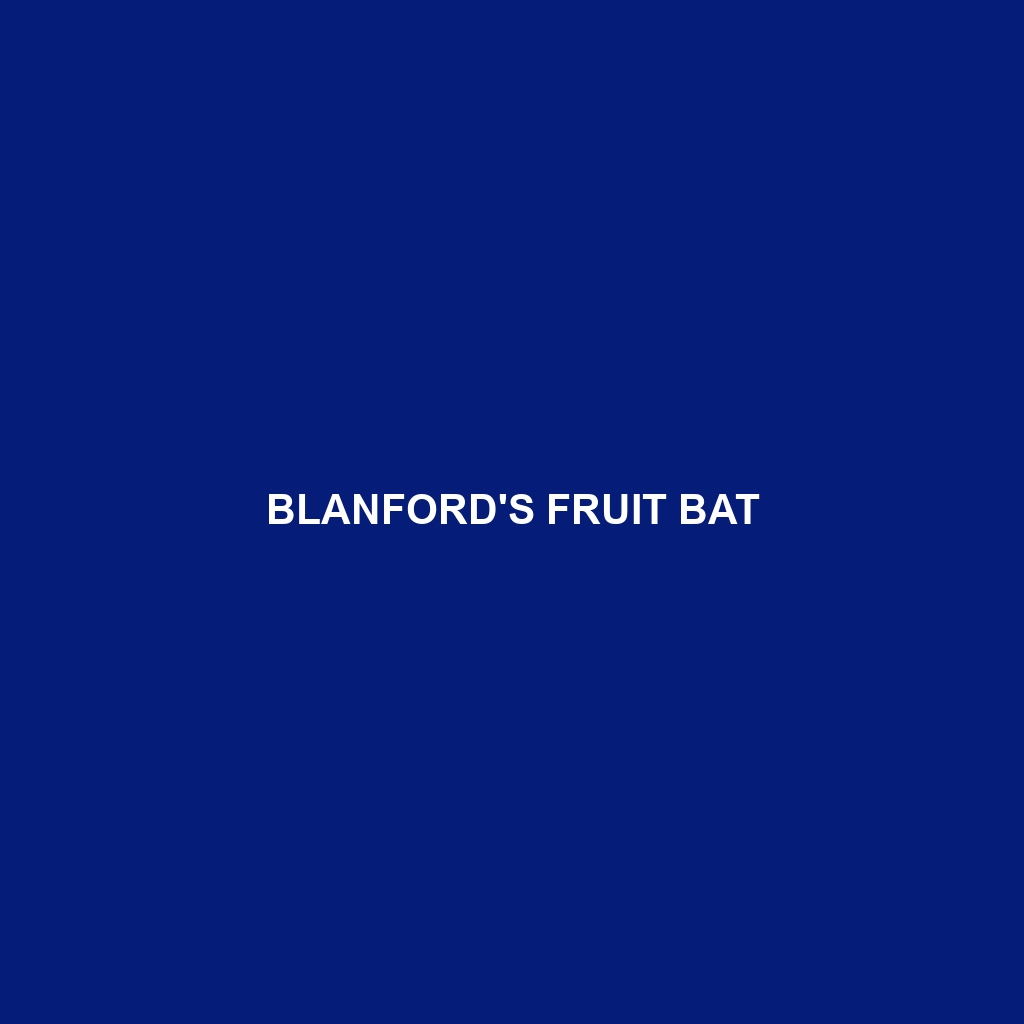 Blanford's Fruit Bat