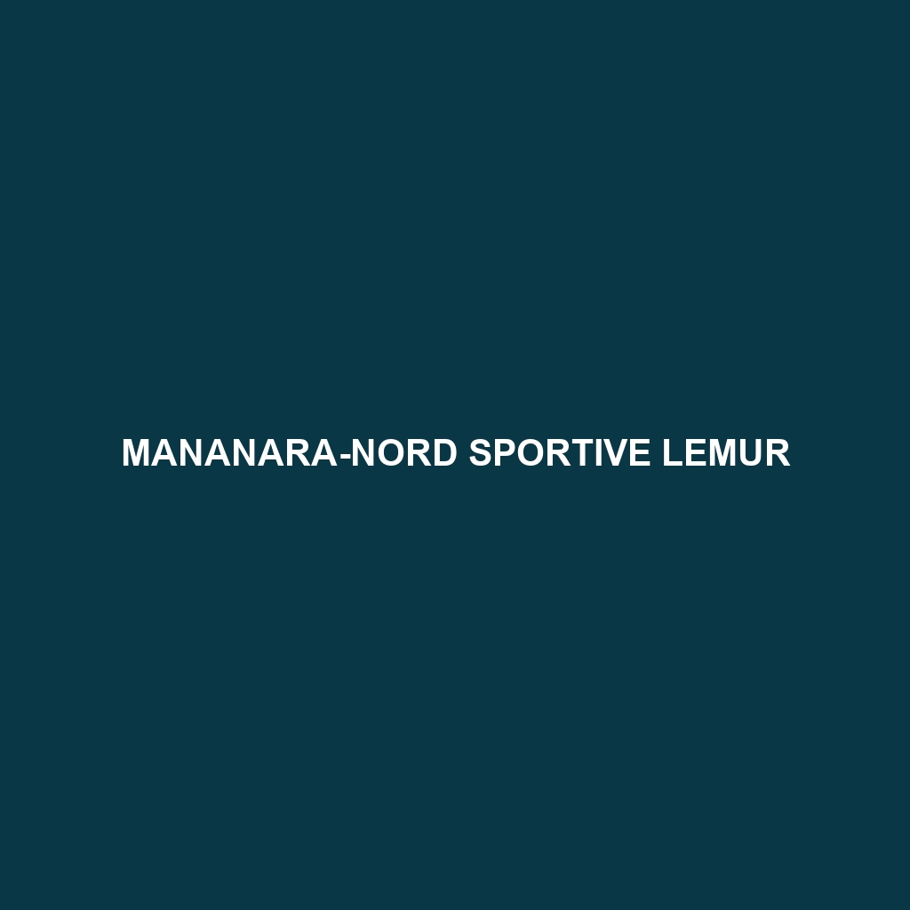 Mananara-Nord Sportive Lemur