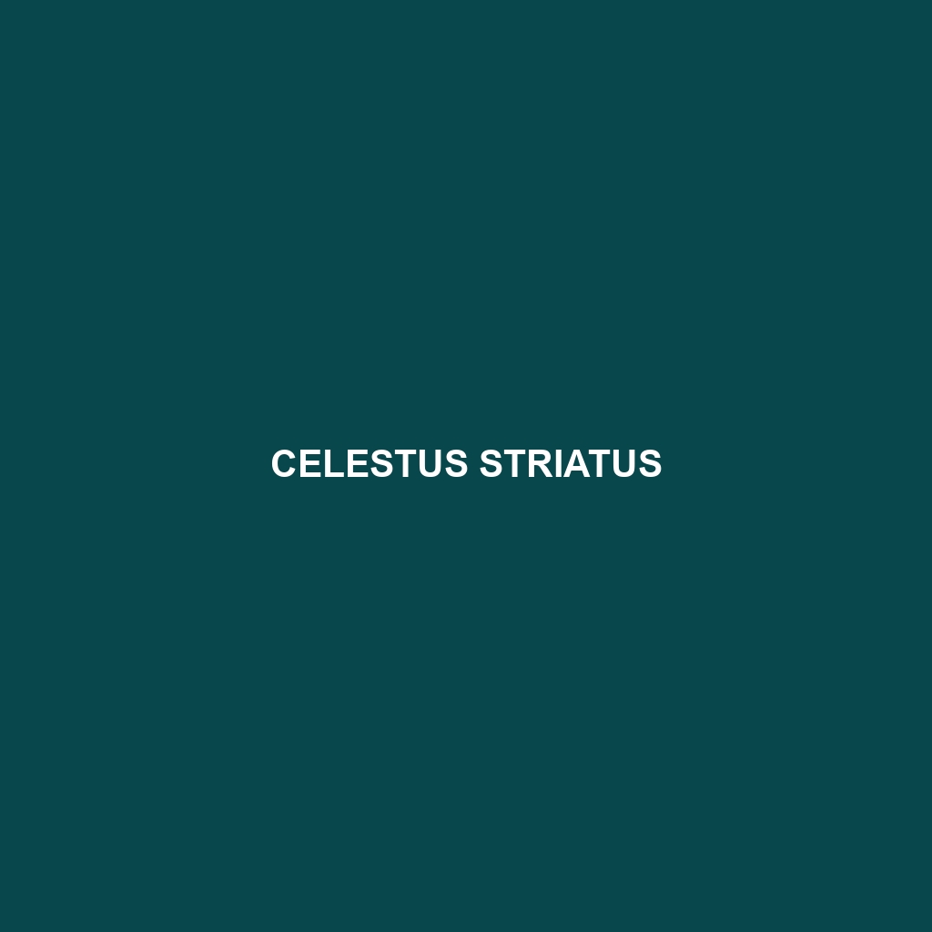 Celestus striatus