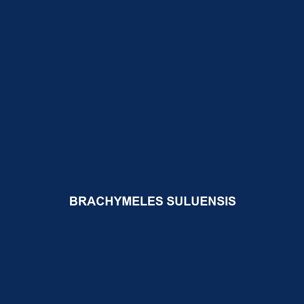 Brachymeles suluensis