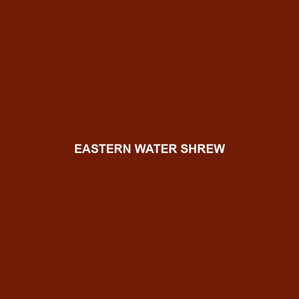 Eastern Water Shrew