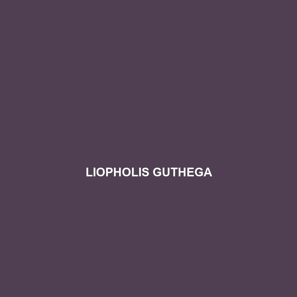 Liopholis guthega