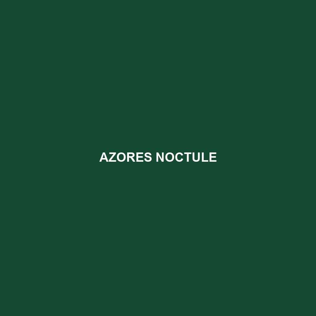 Azores Noctule