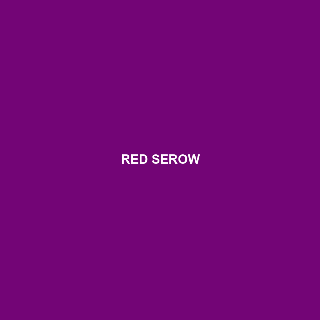 Red Serow