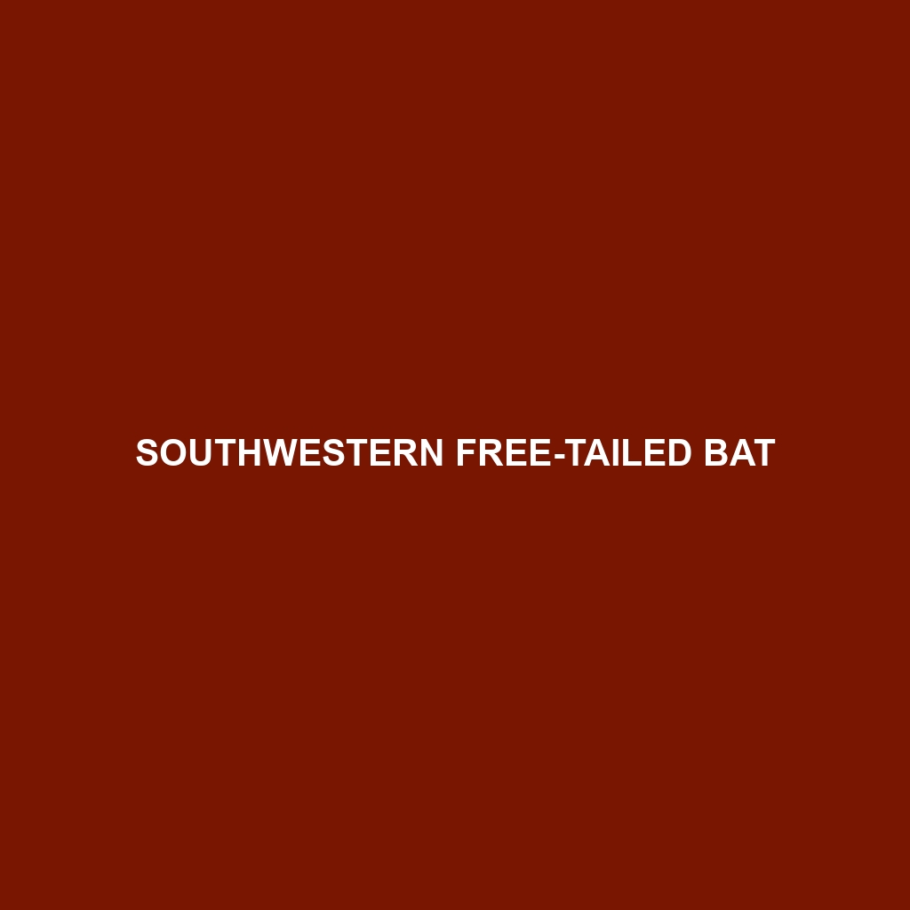 Southwestern Free-tailed Bat