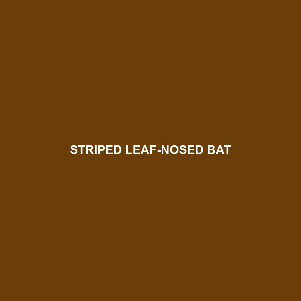 Striped Leaf-nosed Bat