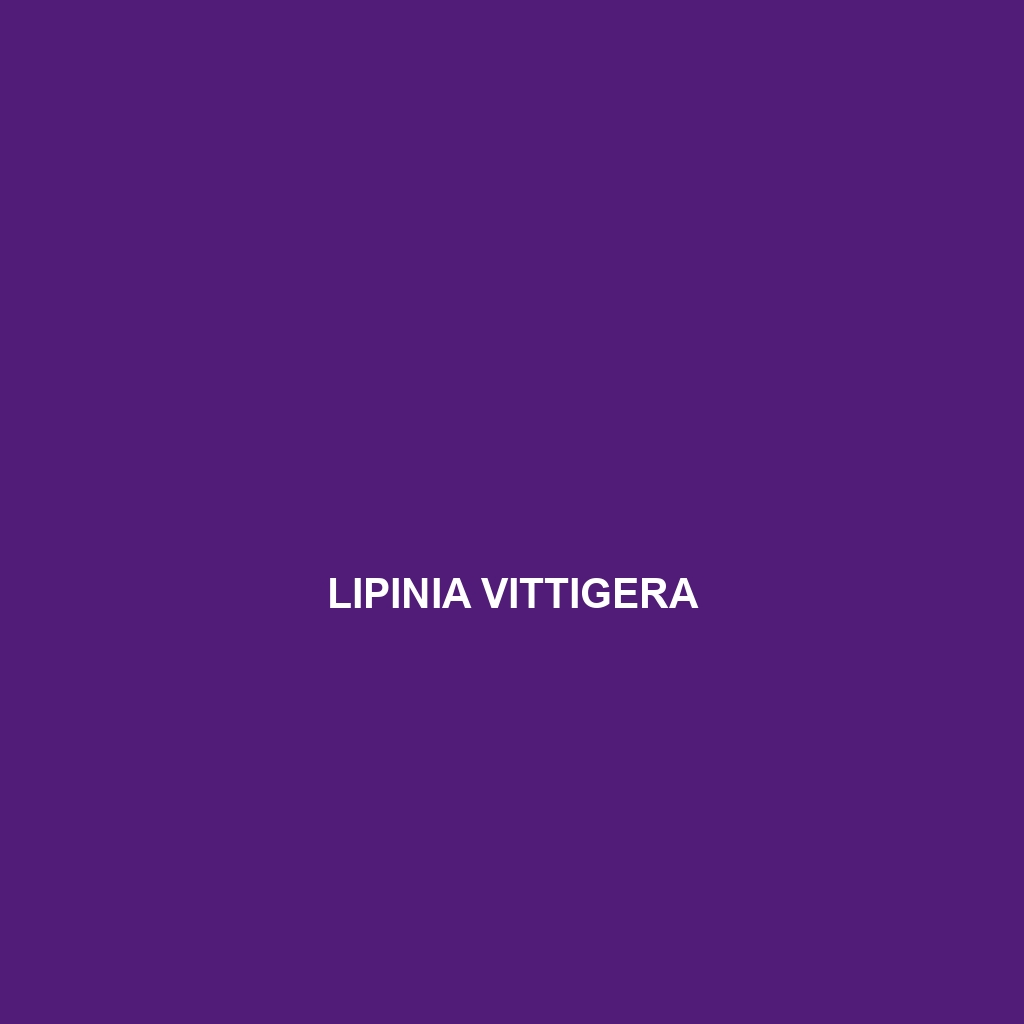 Lipinia vassilievi