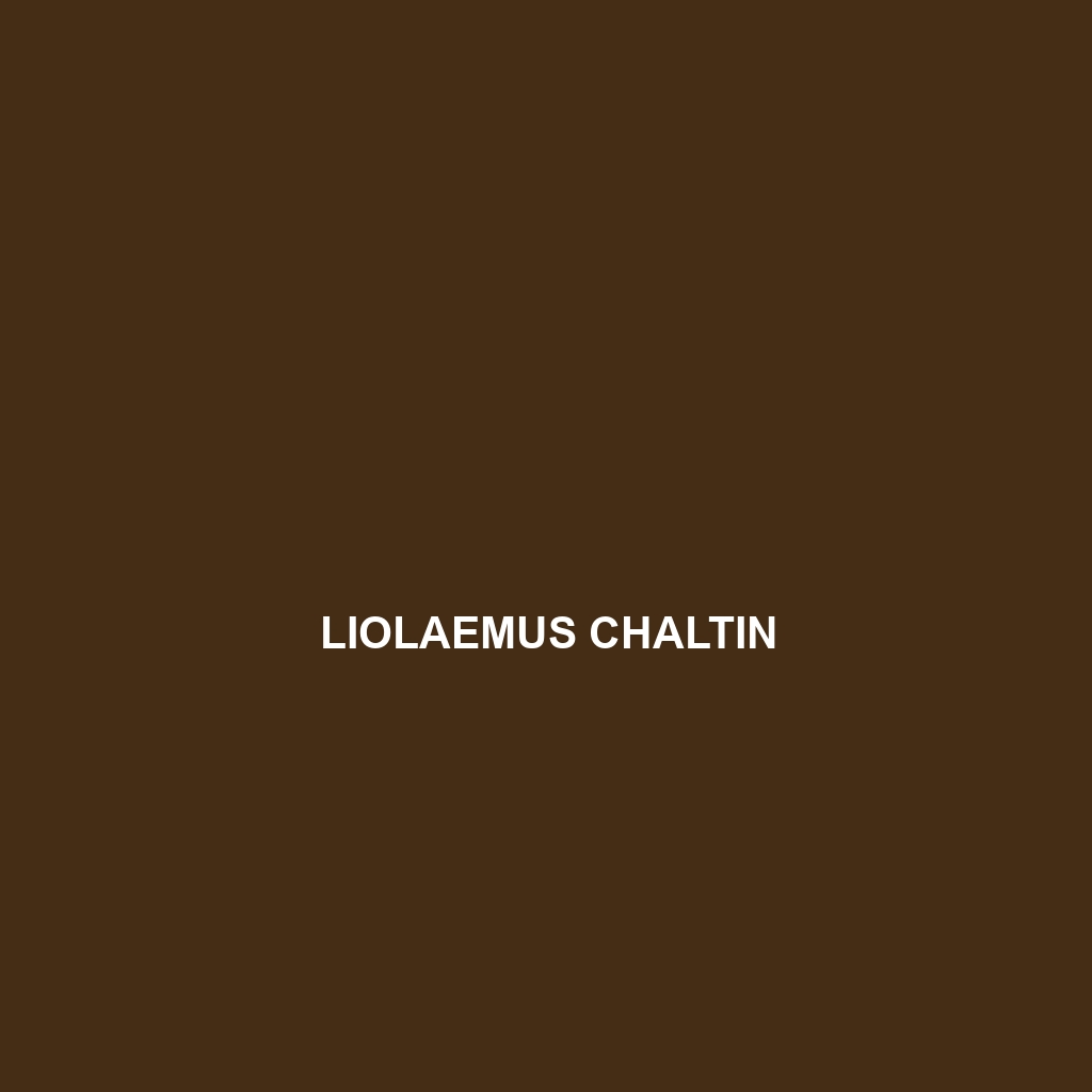 Liolaemus chaltin