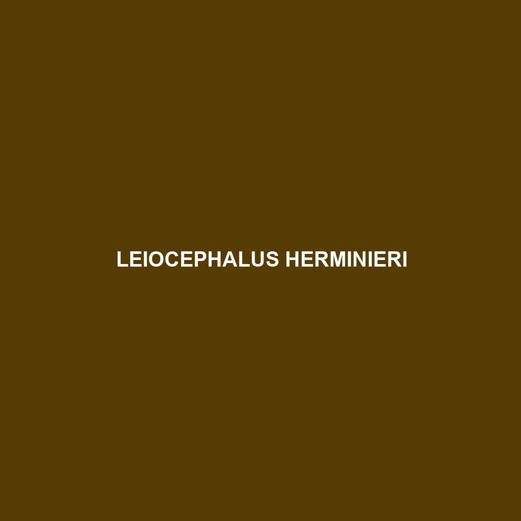 Leiocephalus herminieri