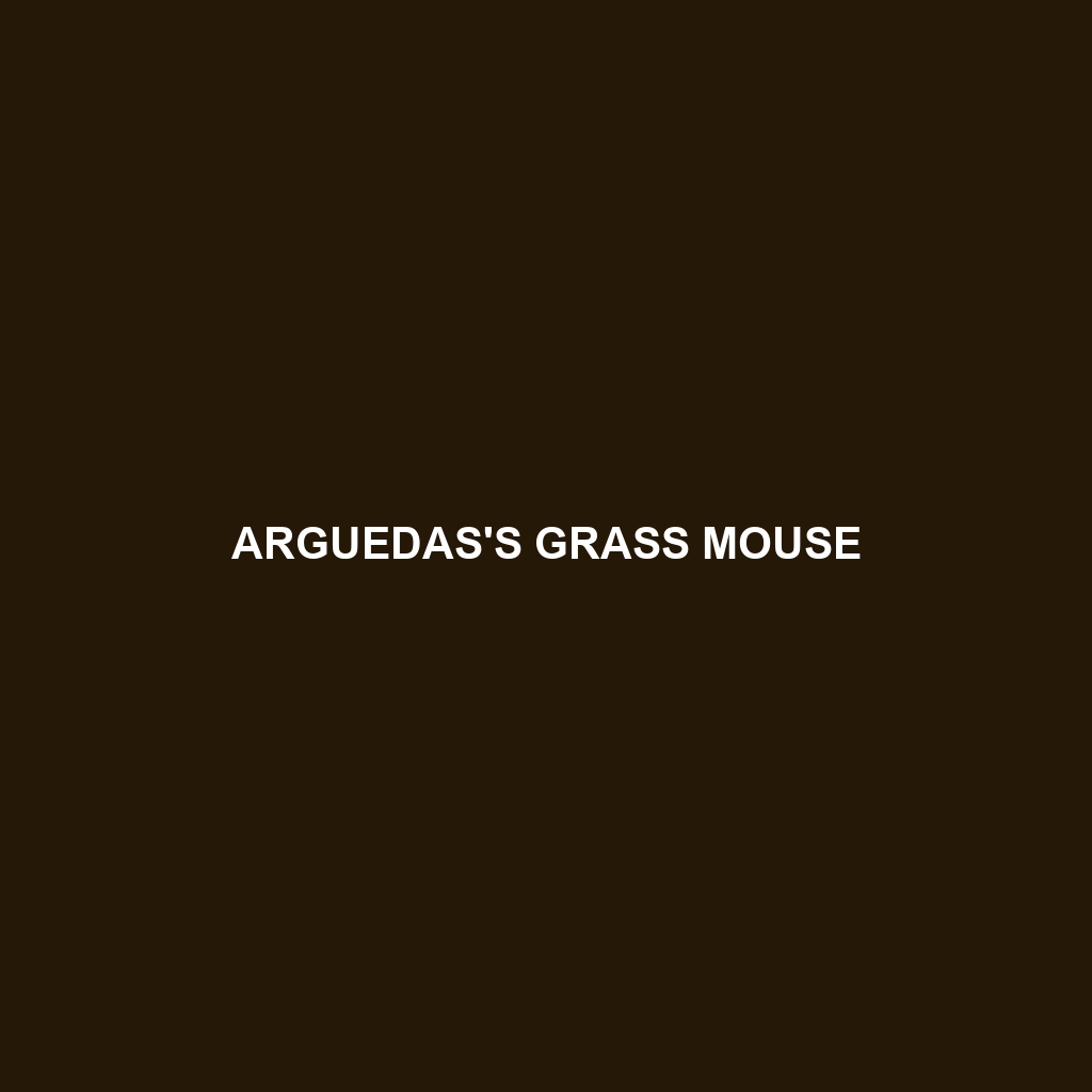 Arguedas's Grass Mouse