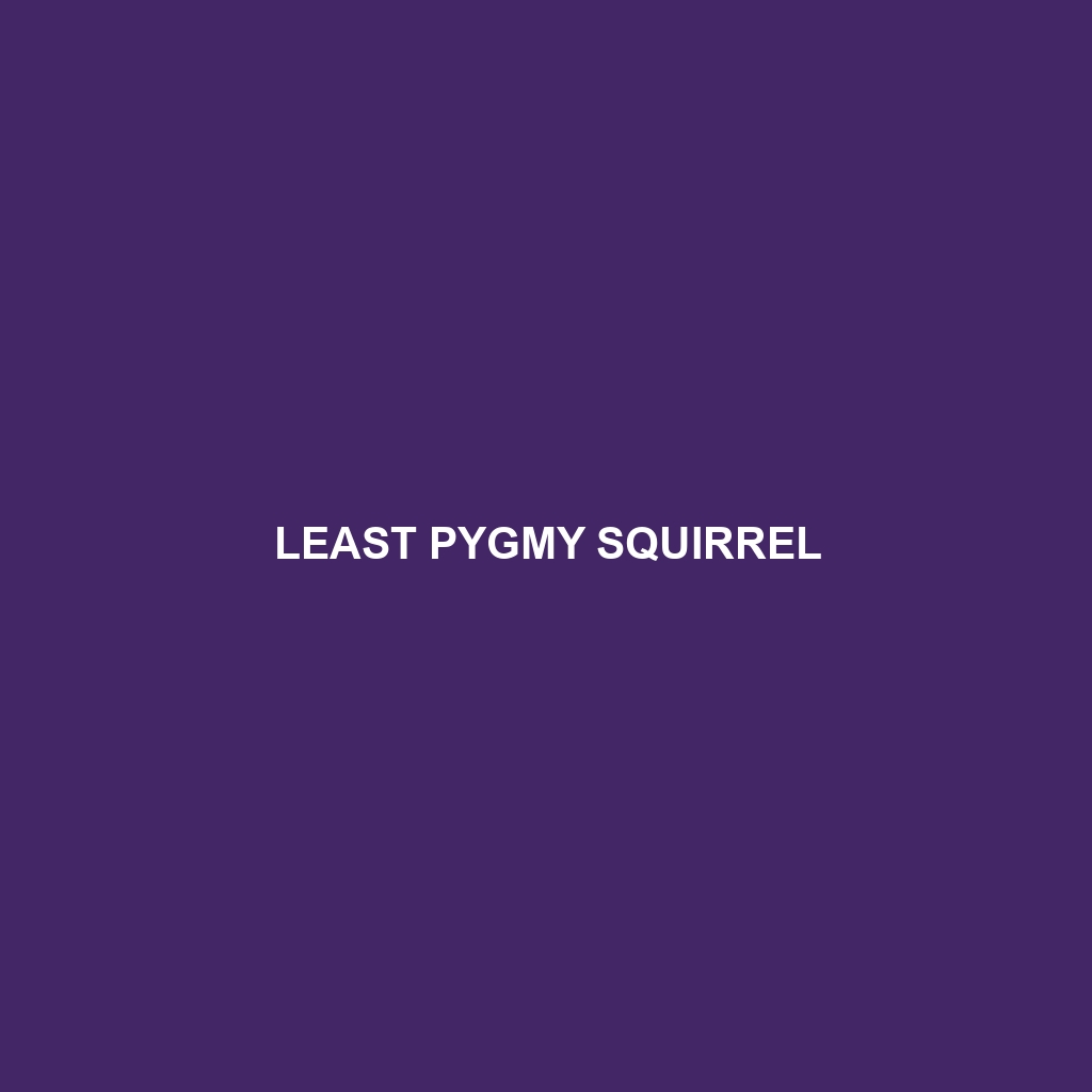 Least Pygmy Squirrel