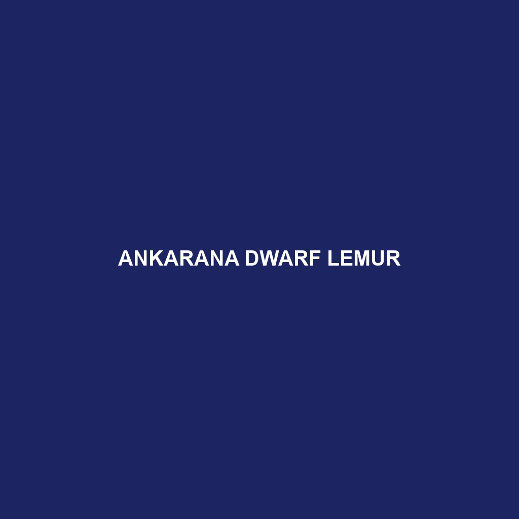 Ankarana Dwarf Lemur