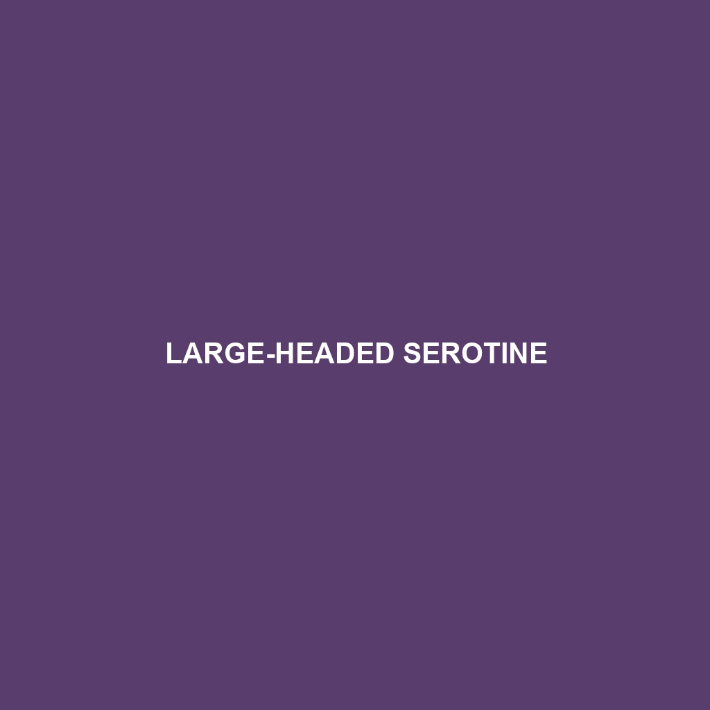 Large-headed Serotine