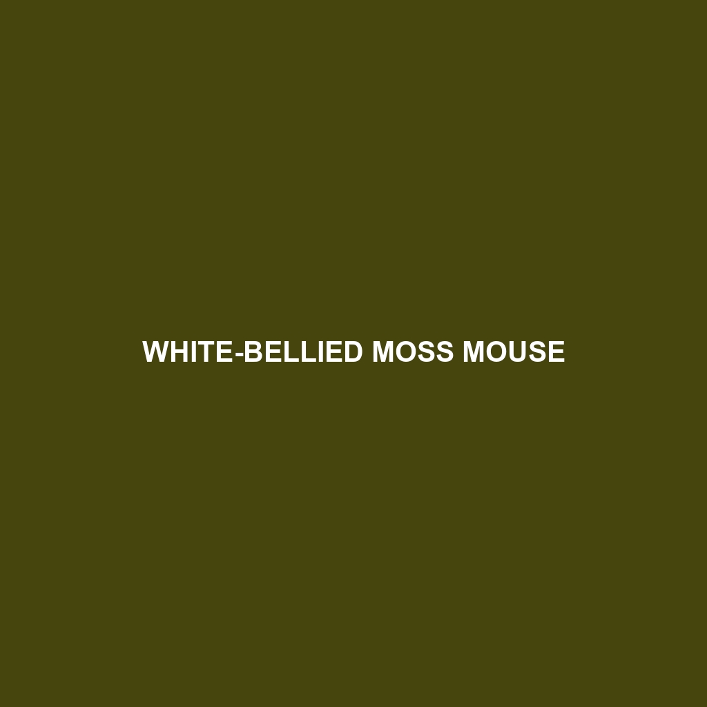 White-bellied Moss Mouse