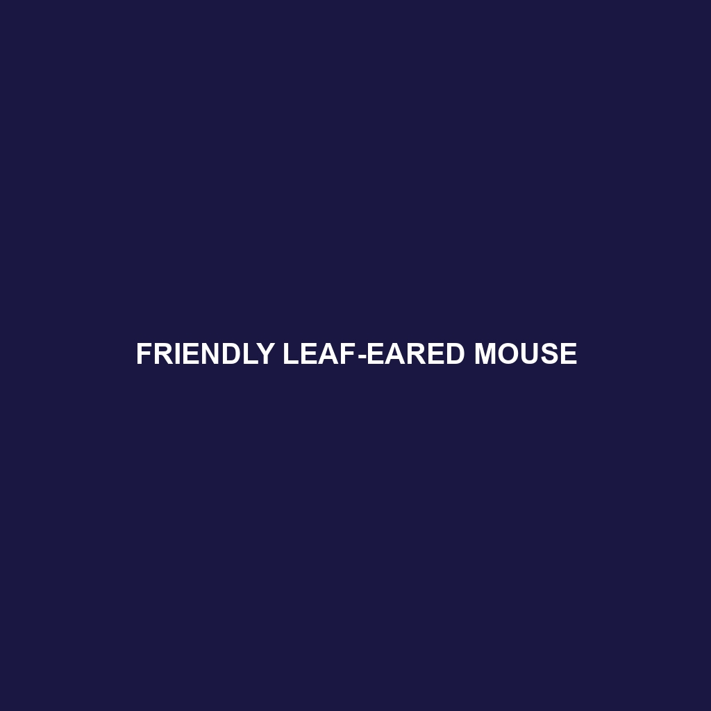 Friendly Leaf-eared Mouse