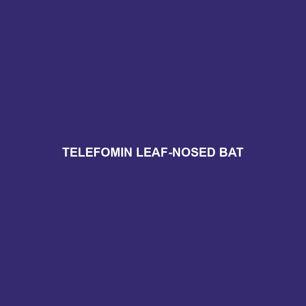 Telefomin Leaf-nosed Bat