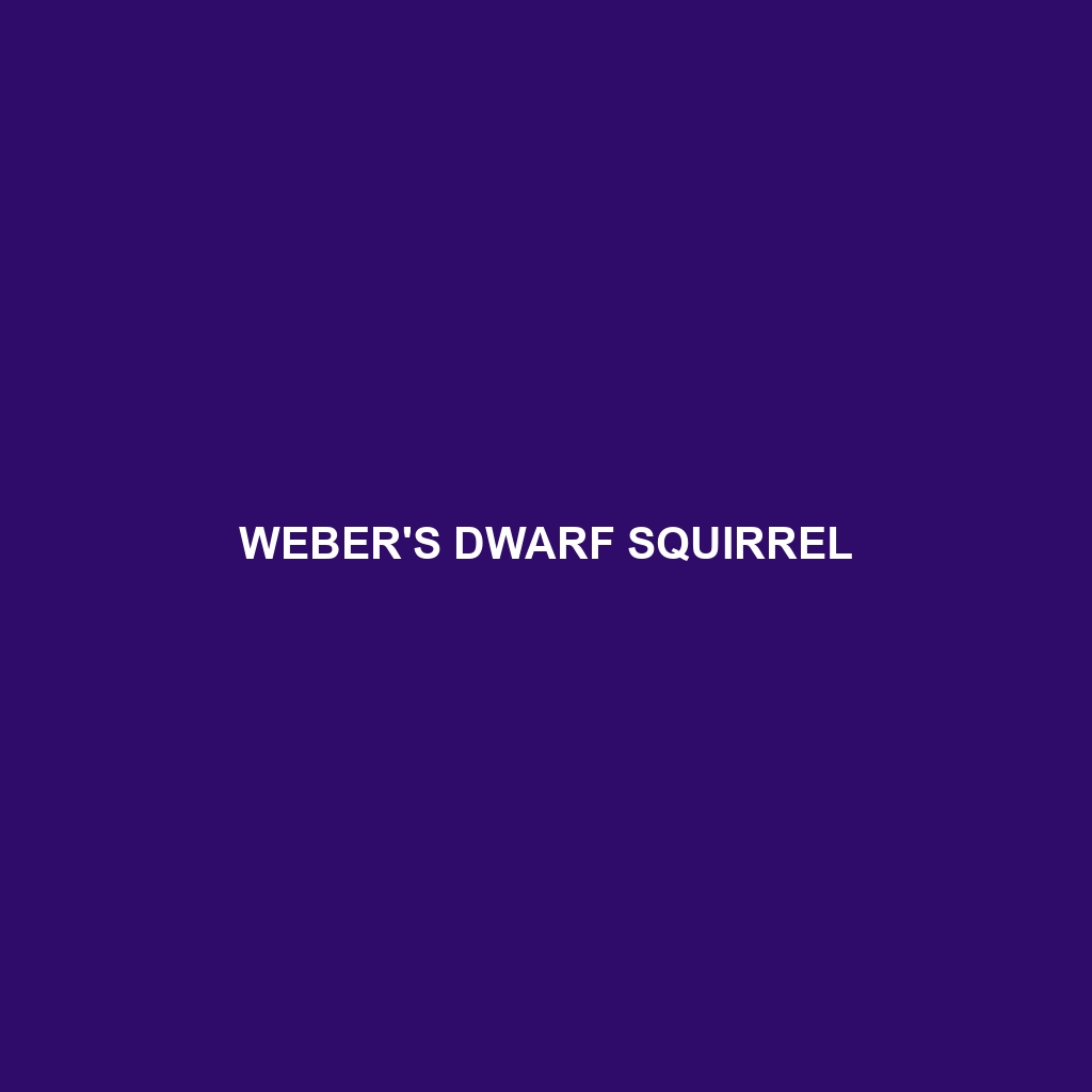 Weber's Dwarf Squirrel