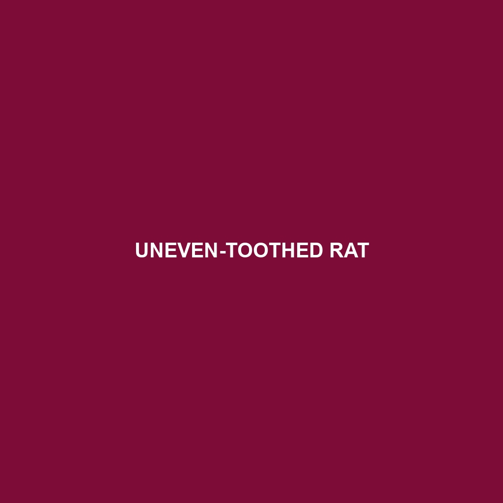 Uneven-toothed Rat