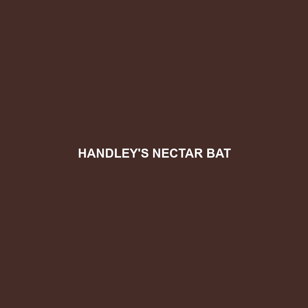 Handley's Nectar Bat