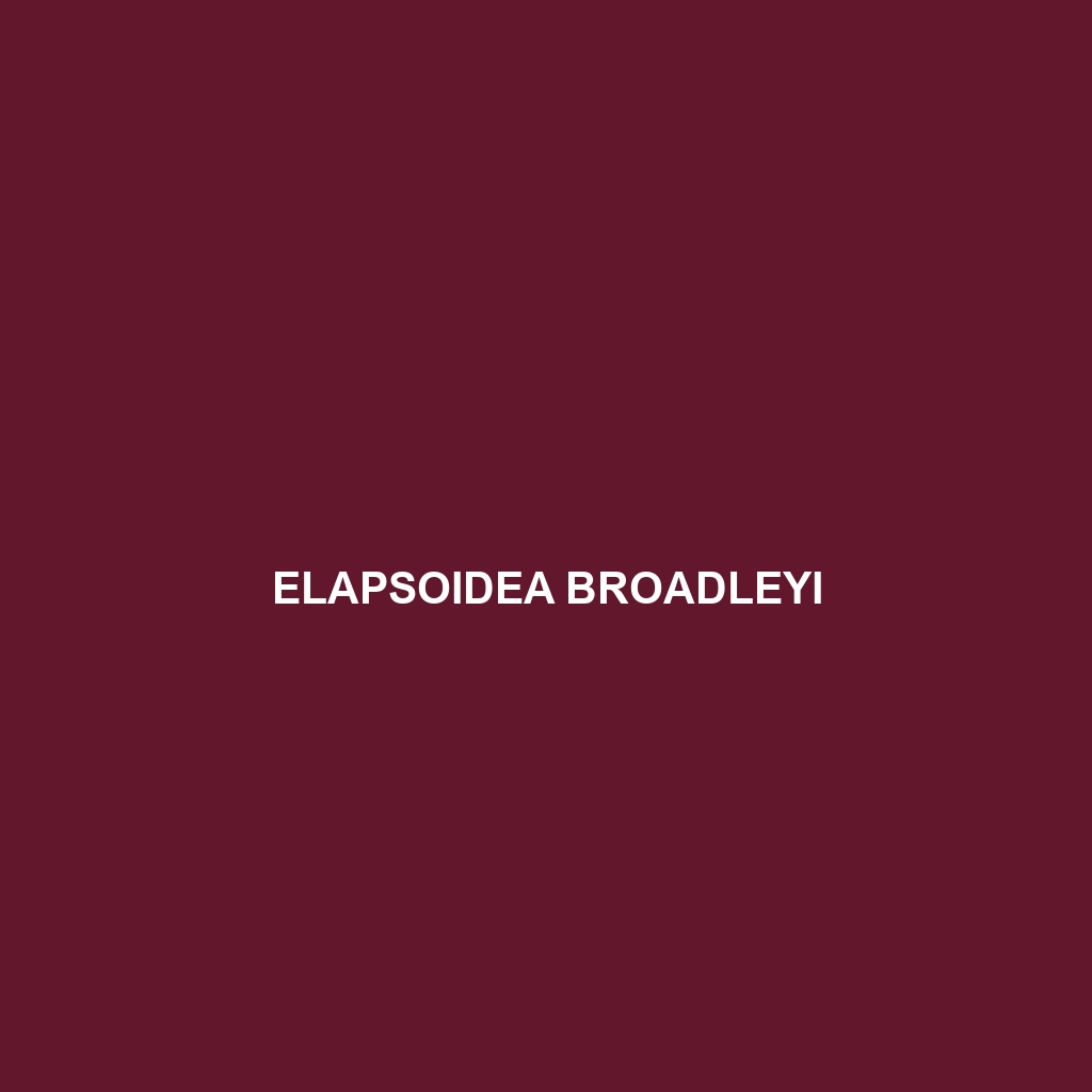 Elapsoidea broadleyi