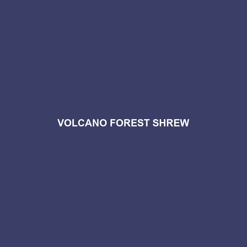 Volcano Forest Shrew