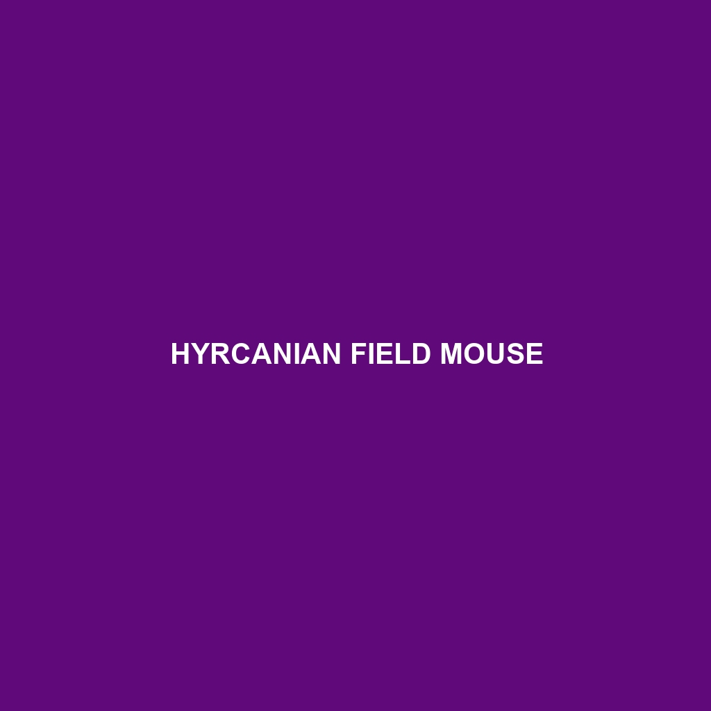 Hyrcanian Field Mouse