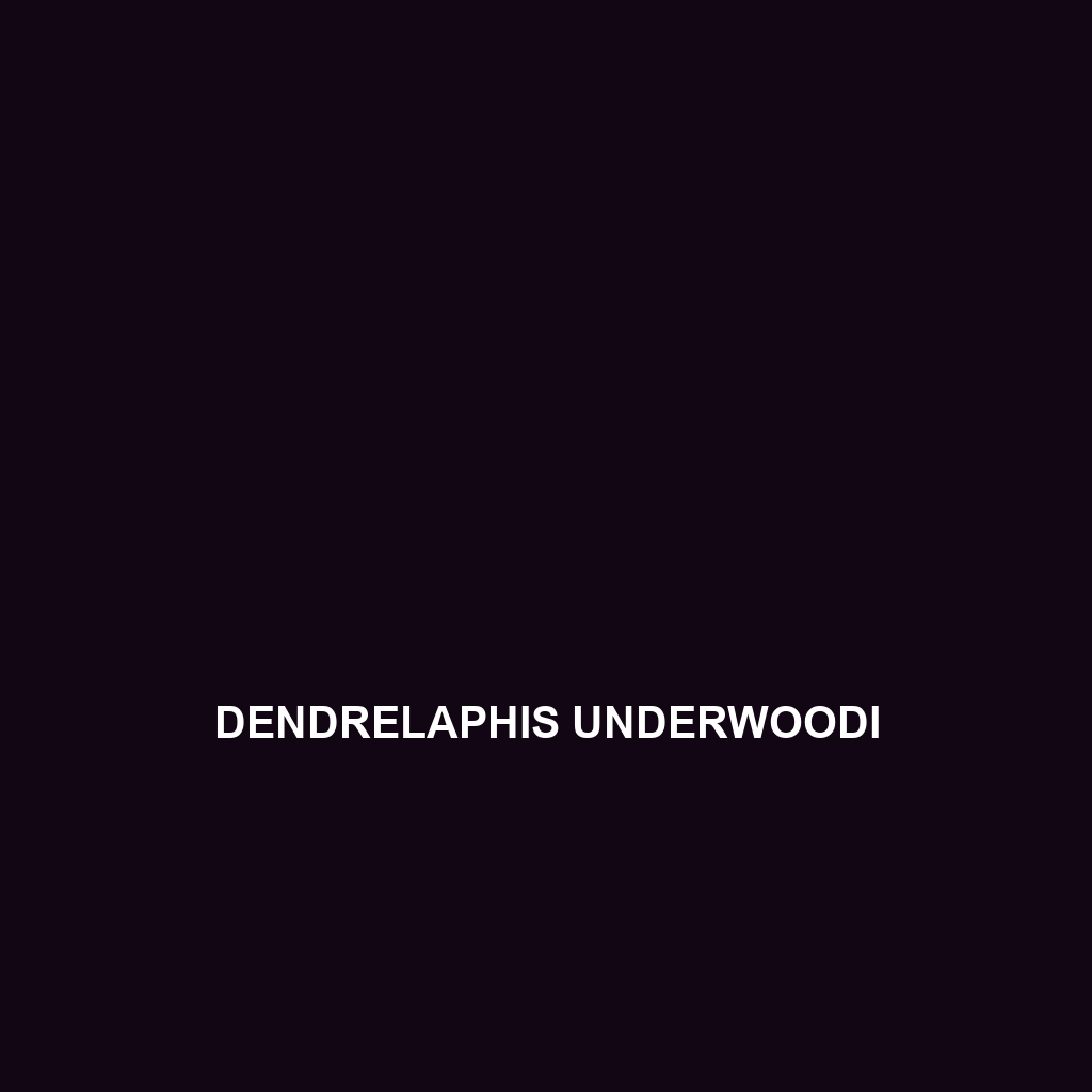 Dendrelaphis underwoodi