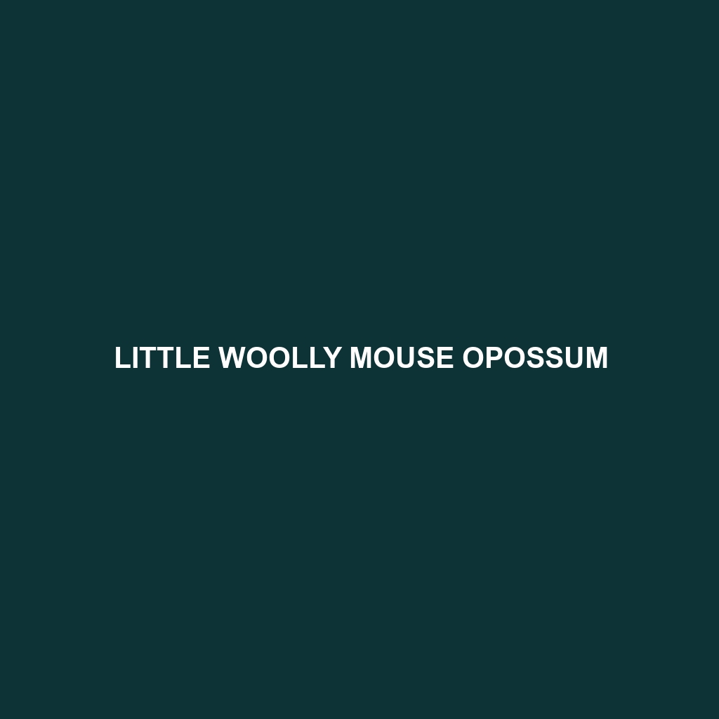 Little Woolly Mouse Opossum