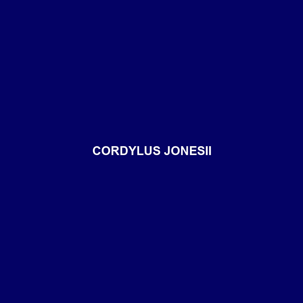 Cordylus jonesii