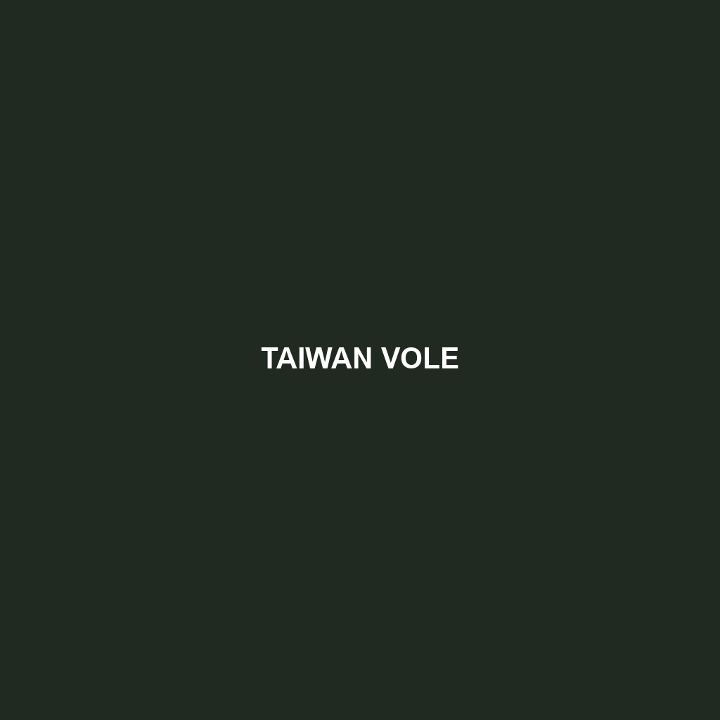 Taiwan Vole