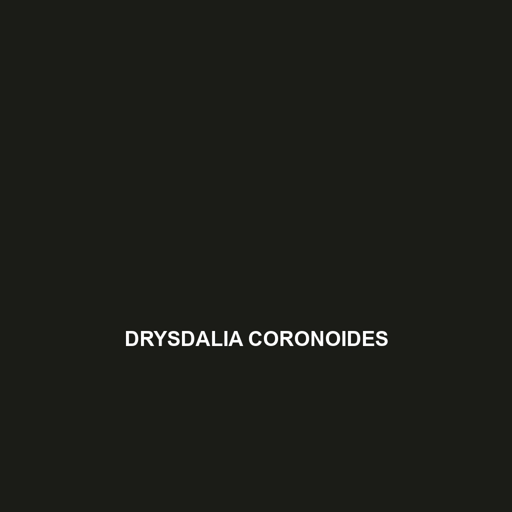 Drysdalia coronoides