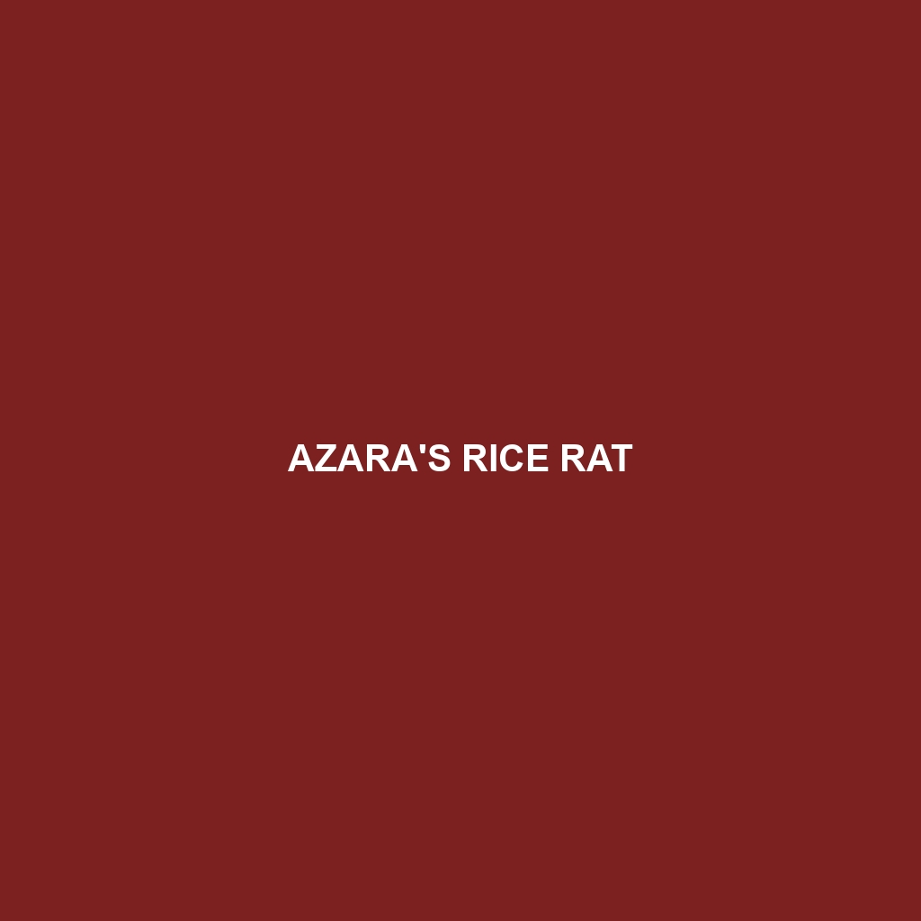 Azara's Rice Rat