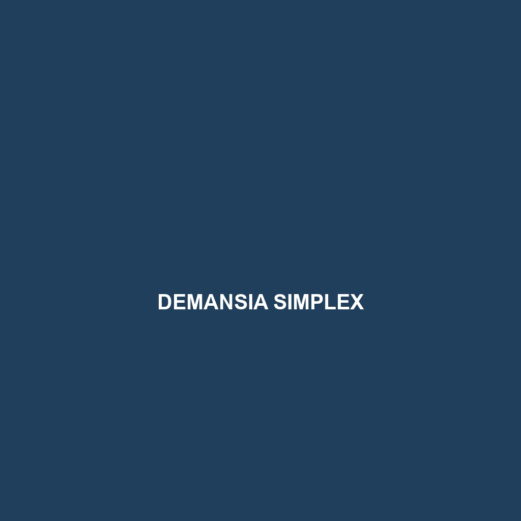 Demansia shinei