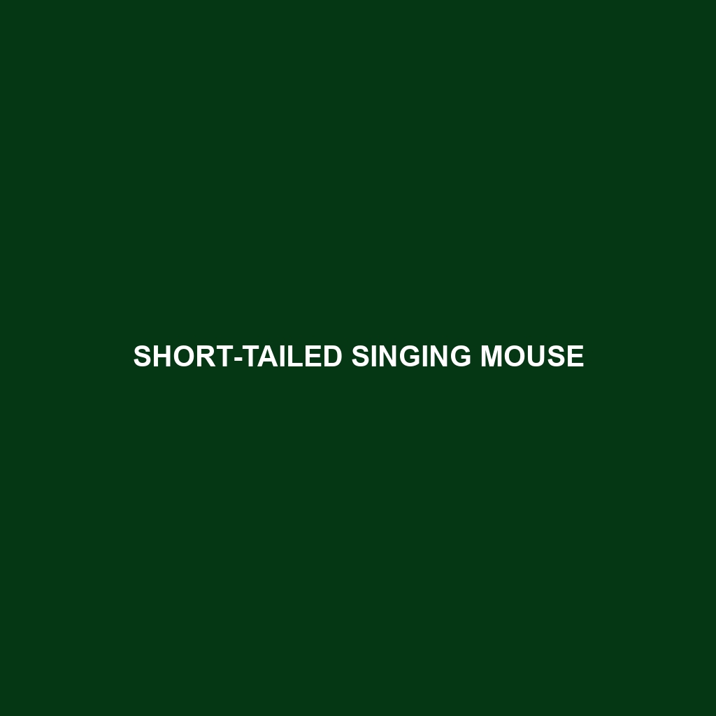 Short-tailed Singing Mouse