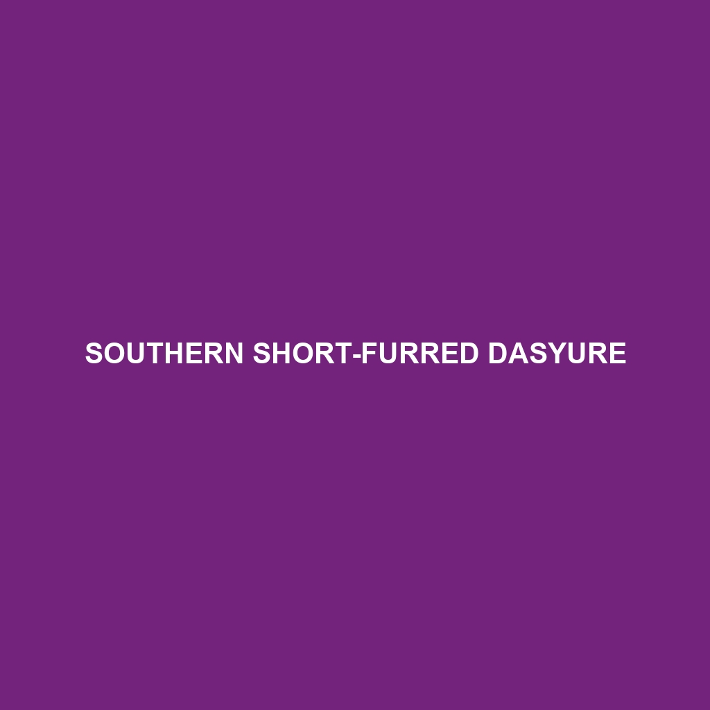 Southern Short-furred Dasyure