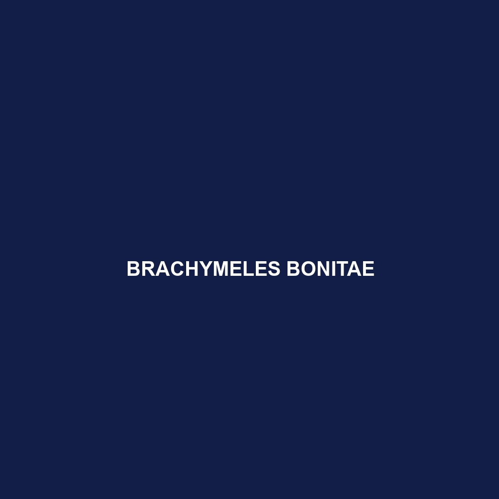 Brachymeles bonitae