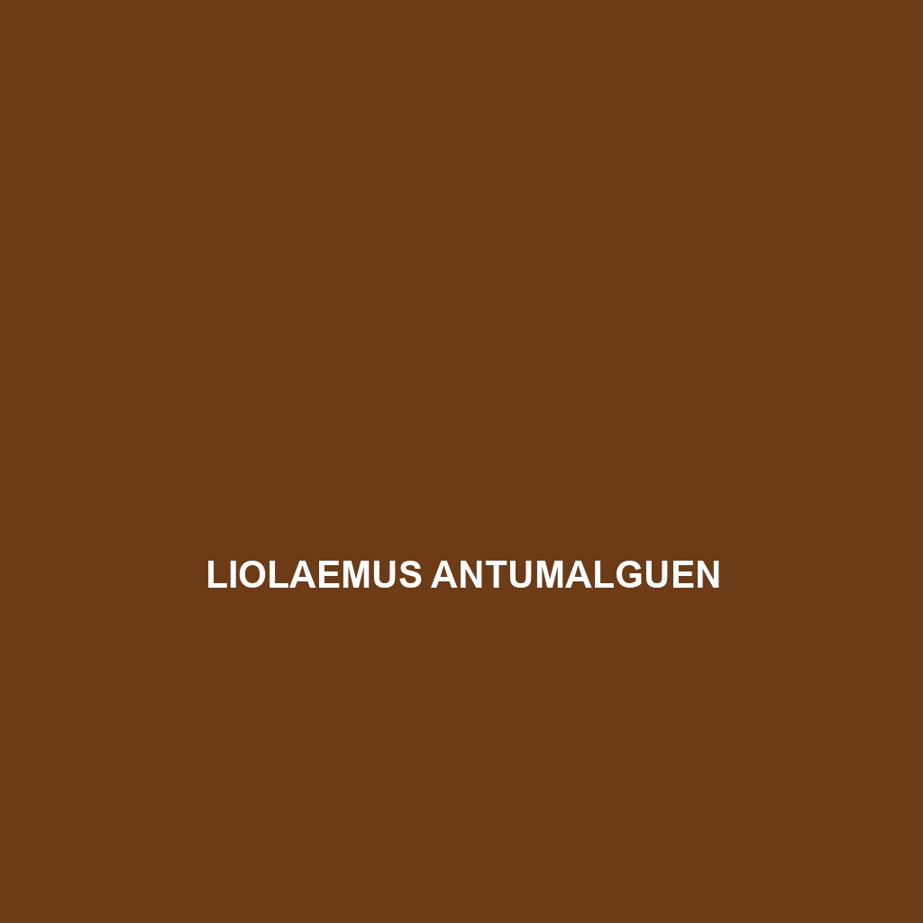 Liolaemus antumalguen