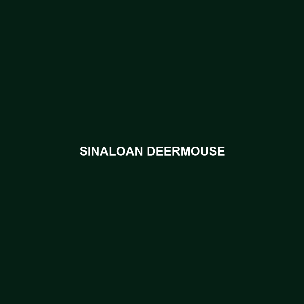 Sinaloan Deermouse